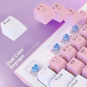 Redragon K611 Dual Color Keys Mechanical Gaming Keyboard Single White LED (White + Pink)